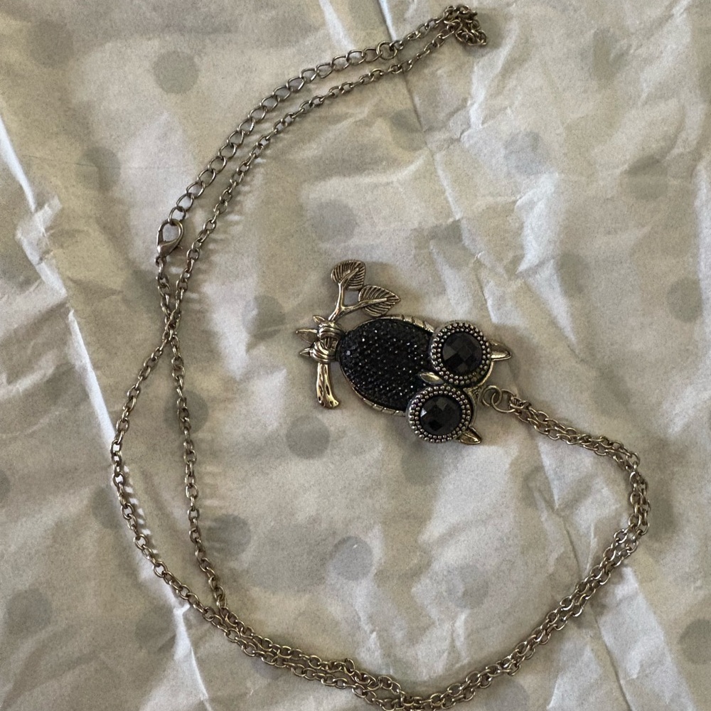 2/$15 Silver and Black Owl Pendant Necklace